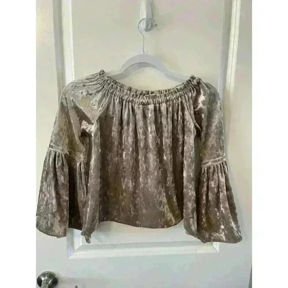 Altard State Velvet Off Shoulder Top Pink size Small Bell sleeve Velour - Picture 3 of 7